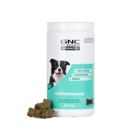 Dog Treats Bites